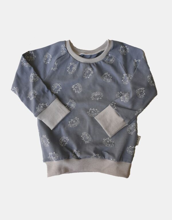 Langarm-Shirt blau mit Igel Langarm-Shirt blau mit Igel